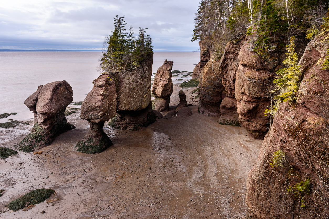 Hopewell Rocks Bay of Fundy during lowtide.